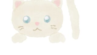 ねこ